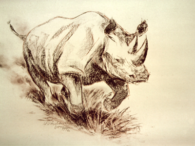 Bild Angreifendes Nashorn von Uli Aschenborn